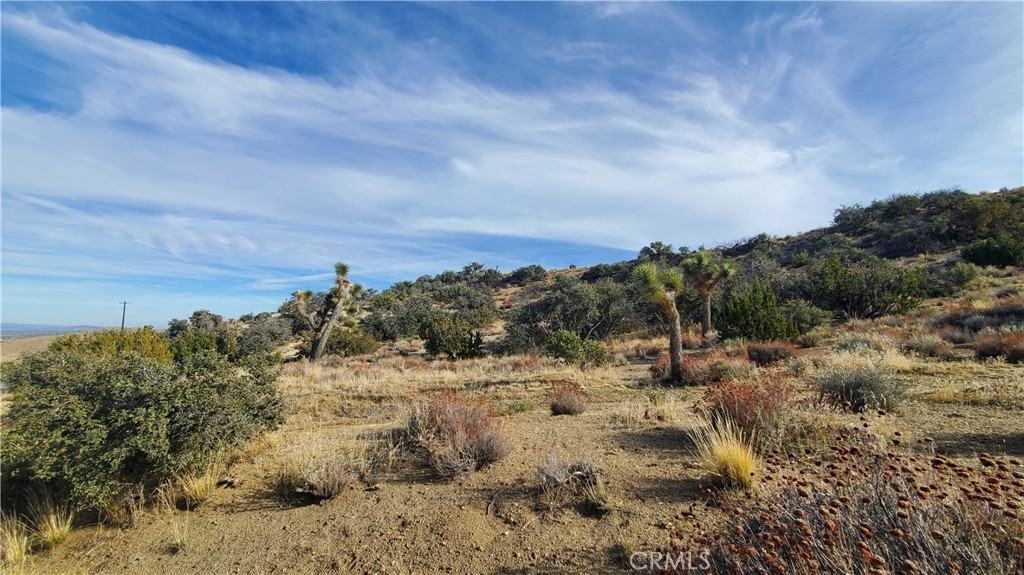 0 Vicinity Ross Road Juniper Hills, CA 93543 - Photo 18 of 50 Gallery Image 18