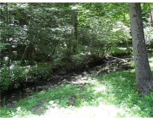 Ramcat Hollow Road Confluence, PA 15424 - Photo 5 of 6 View.