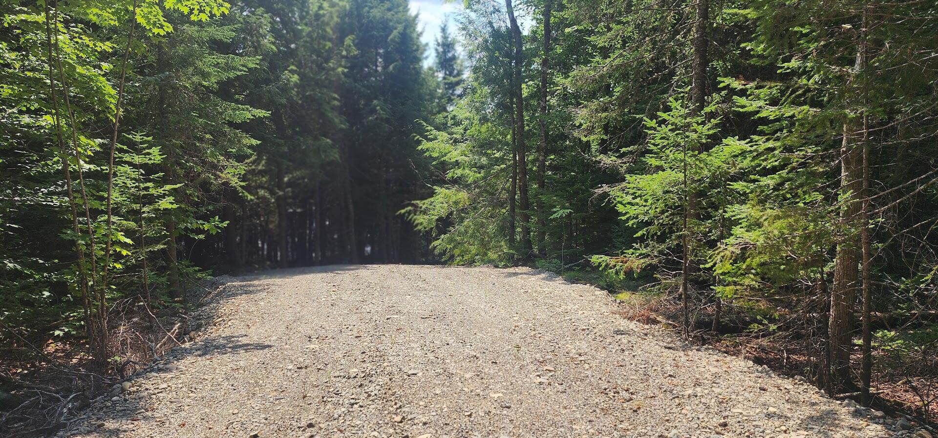 Lot J Lot J Howard Lake Road Robbinston, ME 04671 - Photo 8 of 16 20240722_135729