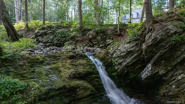a view of outdoor space and green space
