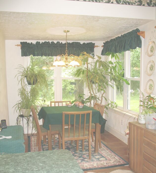 970 Hardbarger Road Buchanan, VA 24066 - Photo 3 of 12 Breakfast nook