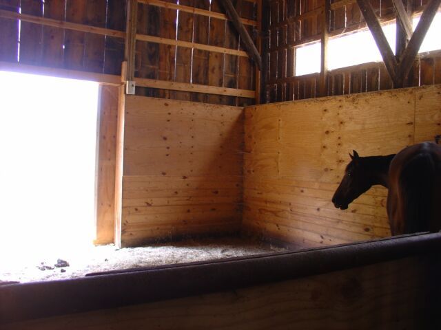 970 Hardbarger Road Buchanan, VA 24066 - Photo 8 of 12 Foaling stall