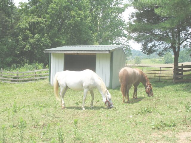 970 Hardbarger Road Buchanan, VA 24066 - Photo 9 of 12 Small run-in