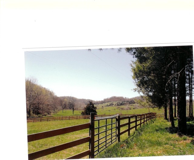 970 Hardbarger Road Buchanan, VA 24066 - Photo 10 of 12 Pastures