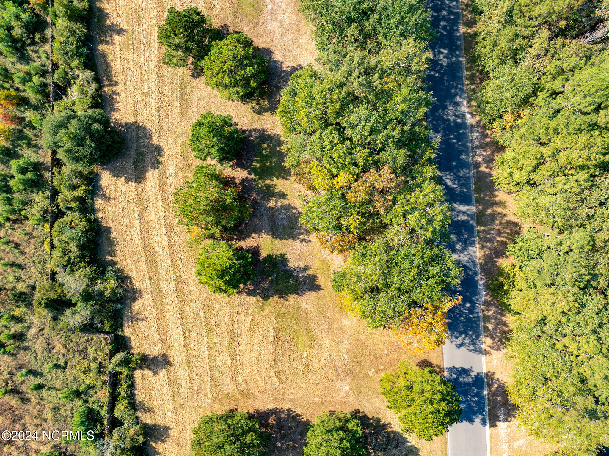 130 Cypress Point Wallace, NC 28466 - Photo 6 of 18 130cypresspoint6
