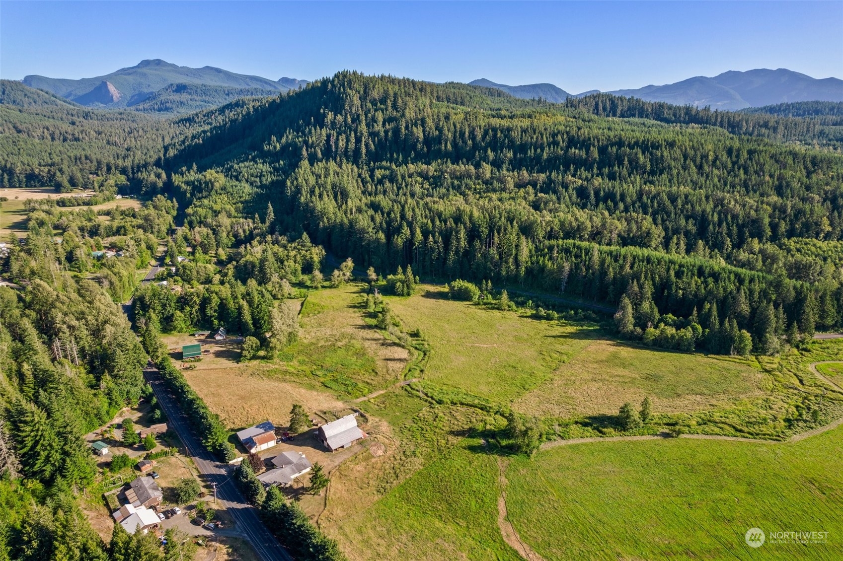434 Cispus Road Randle, WA 98377 - Photo 30 of 40 a view of a lush green hillside and a houses