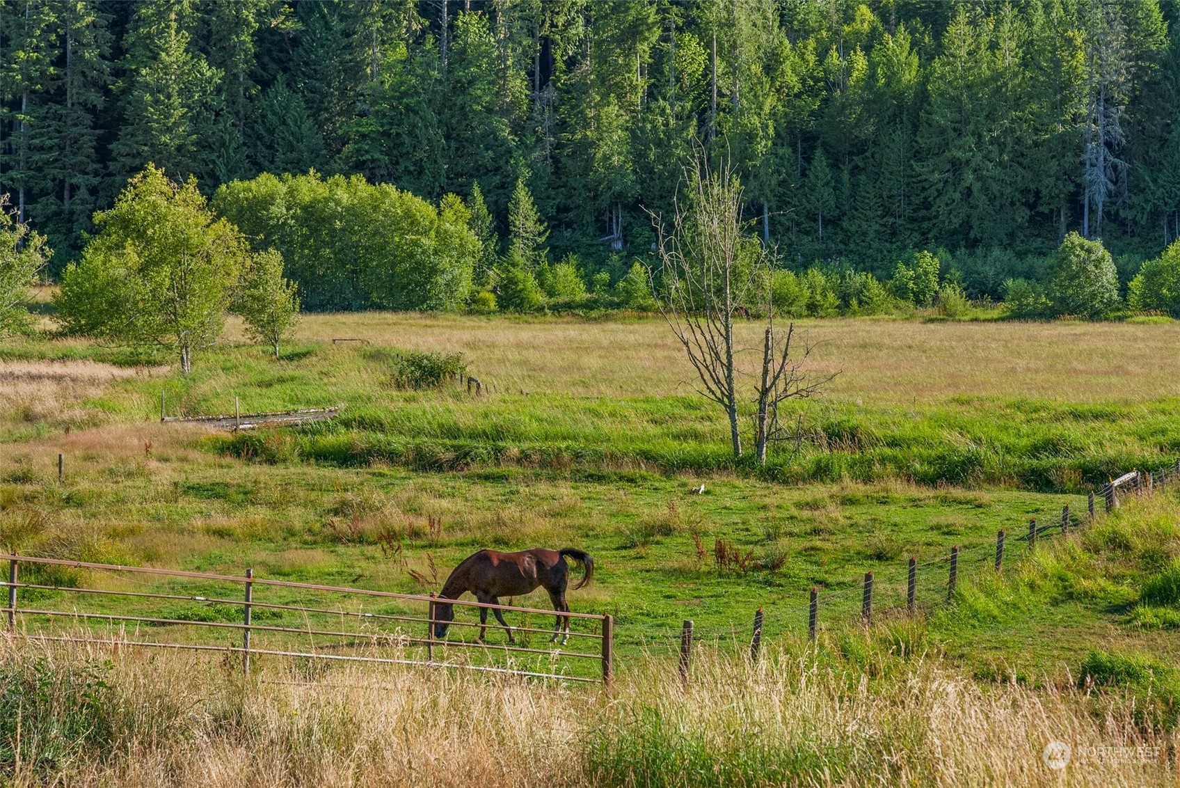 434 Cispus Road Randle, WA 98377 - Photo 31 of 40 a view of a lake