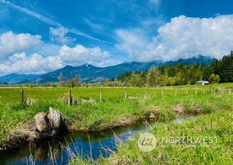 434 Cispus Road Randle, WA 98377 - Photo 35 of 40 a view of a lake with a yard