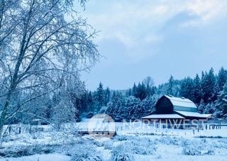 434 Cispus Road Randle, WA 98377 - Photo 36 of 40 a view of a back yard of the house