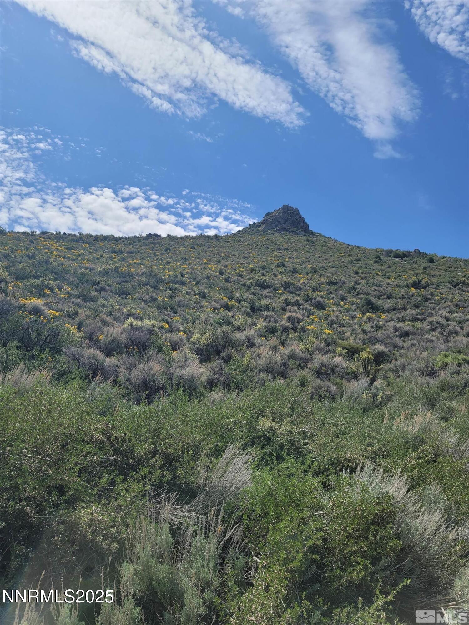 525 Prairie Dog Court Reno, NV 89508 - Photo 2 of 3 230005521-1
