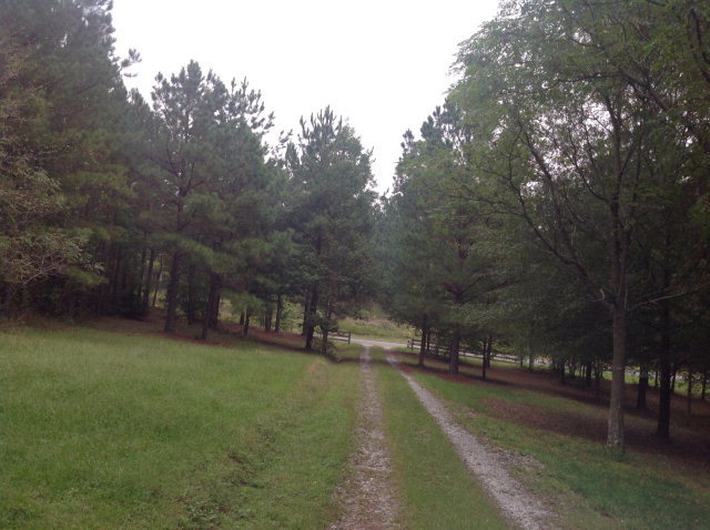 390 Stagecoach Road Macon, GA 31211 - Photo 2 of 22 Additional Photo