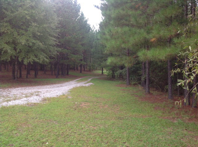 390 Stagecoach Road Macon, GA 31211 - Photo 13 of 22 Additional Photo
