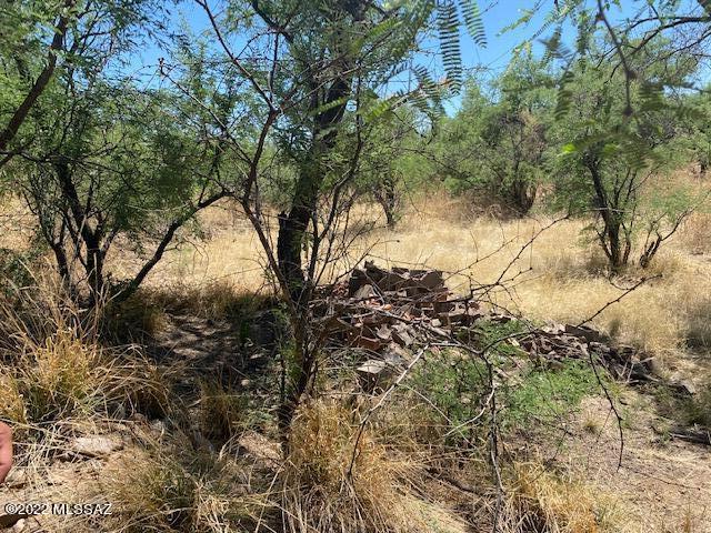 325 Via Papagayo, Unit 105 Rio Rico, AZ 85648 - Photo 1 of 1