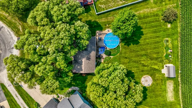 a view of a back yard with plants