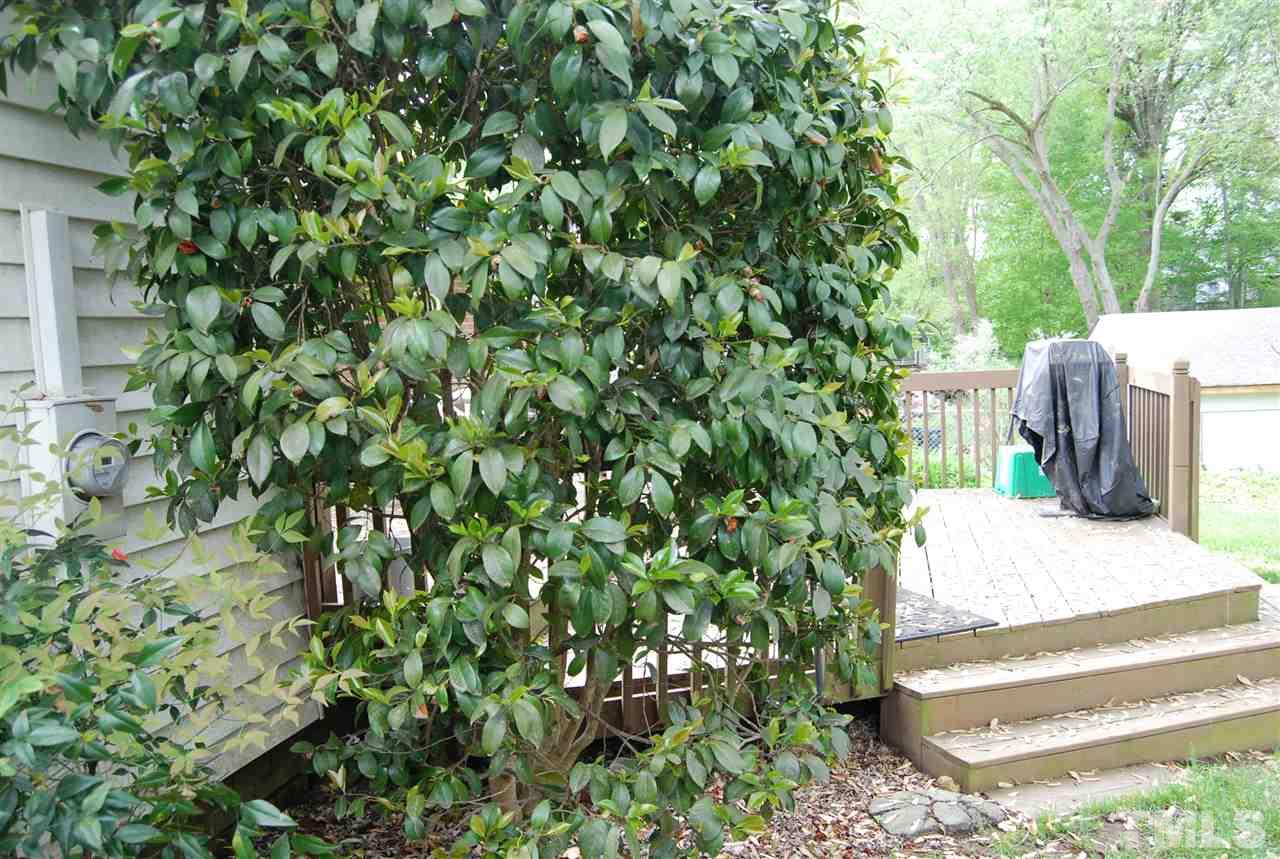 3513 Crofton Court Raleigh, NC 27604 - Photo 4 of 5 a view of a bench in a garden