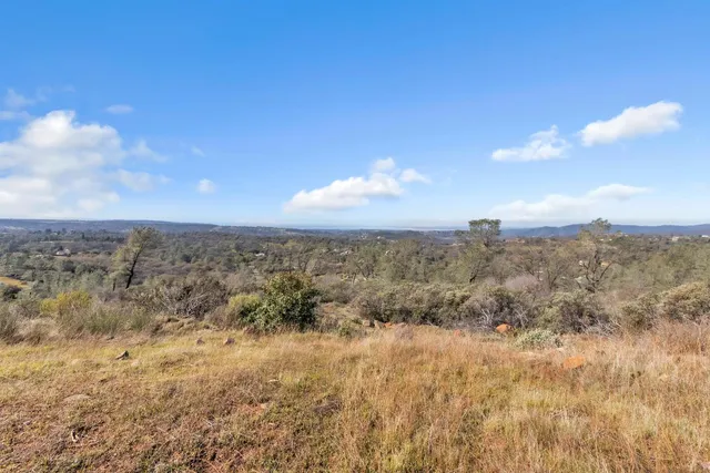 a close up of a plant with white walls