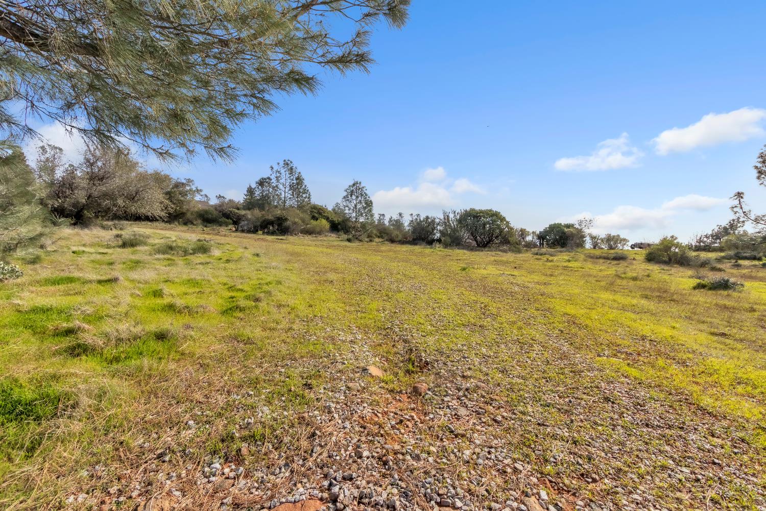 4446 Fremont's Loop Rescue, CA 95672 - Photo 24 of 49