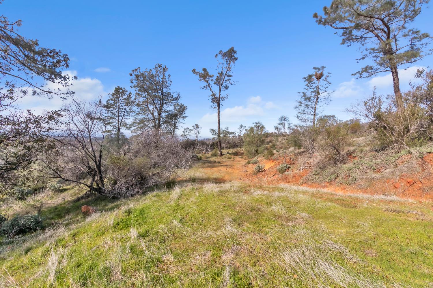 4446 Fremont's Loop Rescue, CA 95672 - Photo 25 of 49