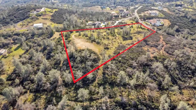 a view of a tree with a yard