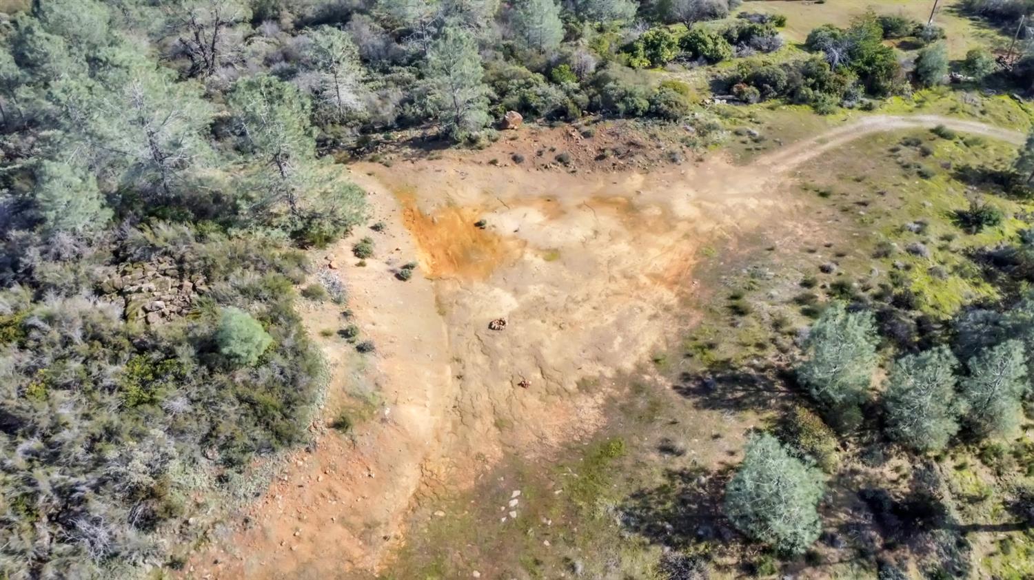 4446 Fremont's Loop Rescue, CA 95672 - Photo 30 of 49