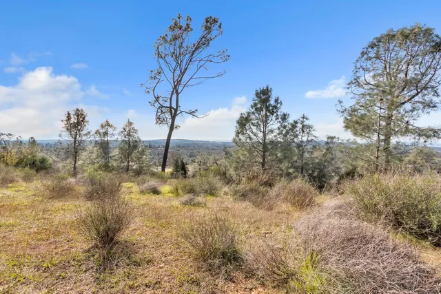 a view of outdoor space and a yard