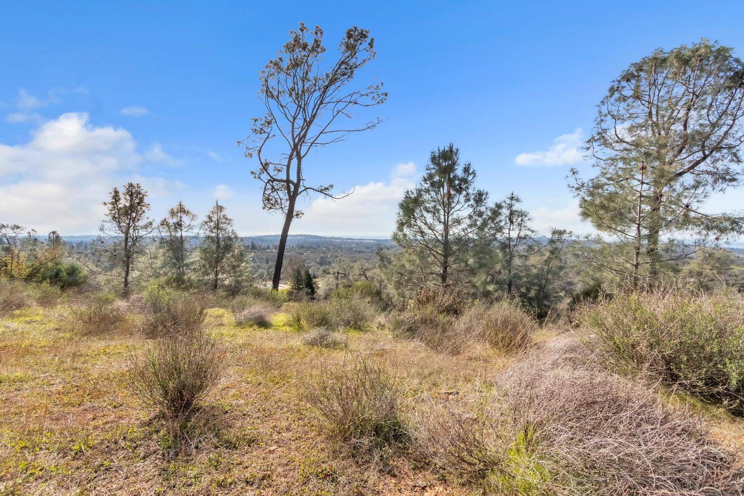 4446 Fremont's Loop Rescue, CA 95672 - Photo 32 of 49