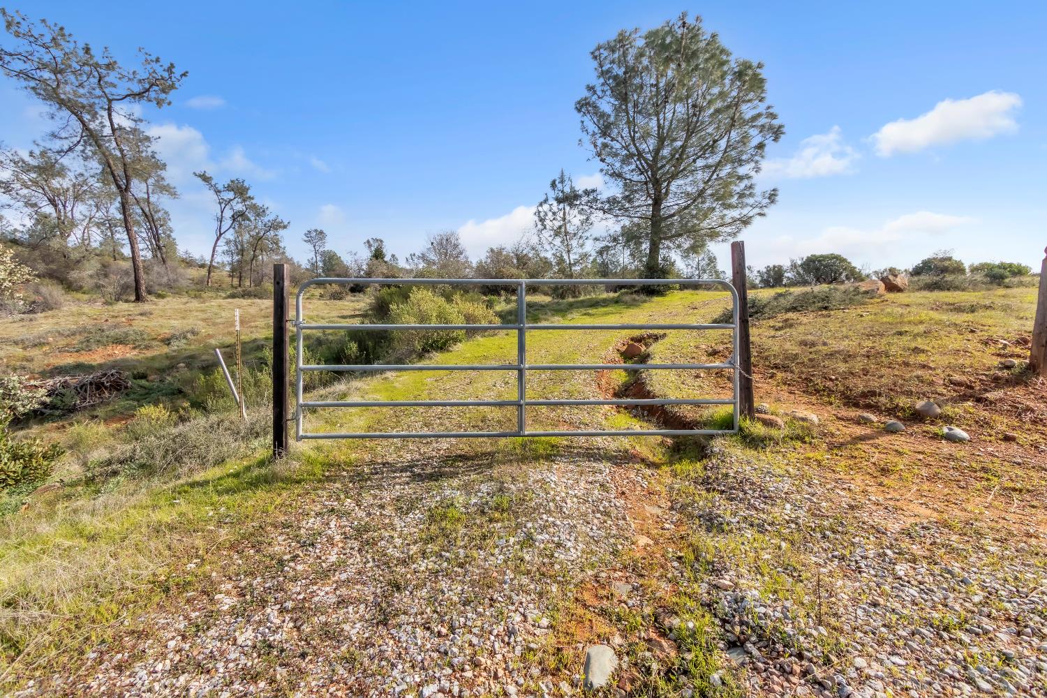 4446 Fremont's Loop Rescue, CA 95672 - Photo 43 of 49