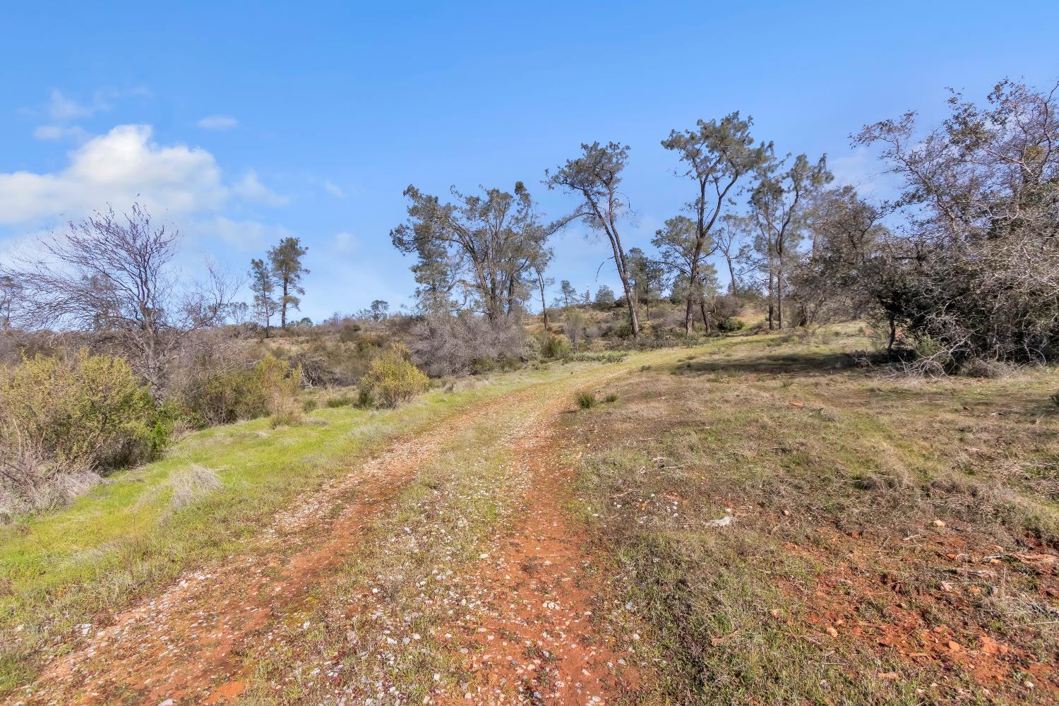 4446 Fremont's Loop Rescue, CA 95672 - Photo 44 of 49