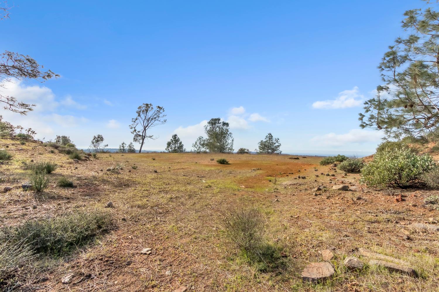 4446 Fremont's Loop Rescue, CA 95672 - Photo 7 of 49