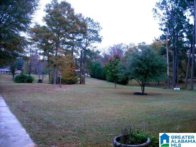 469 County Road 39 Clanton, AL 35046 - Photo 28 of 30