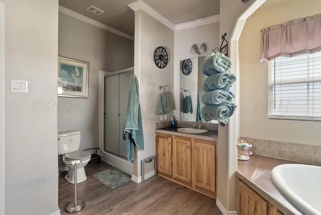 a view of bathroom with a toilet a sink and mirror