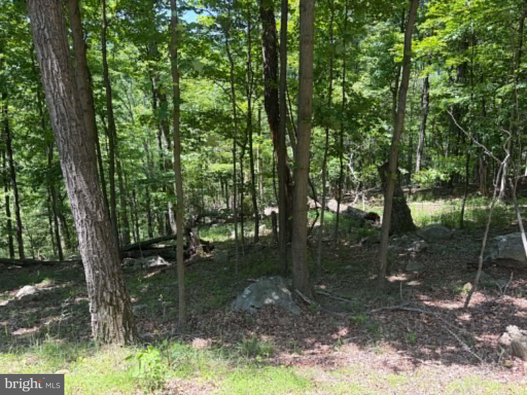 1515 Barnum Road Keyser, WV 26726 - Photo 45 of 64
