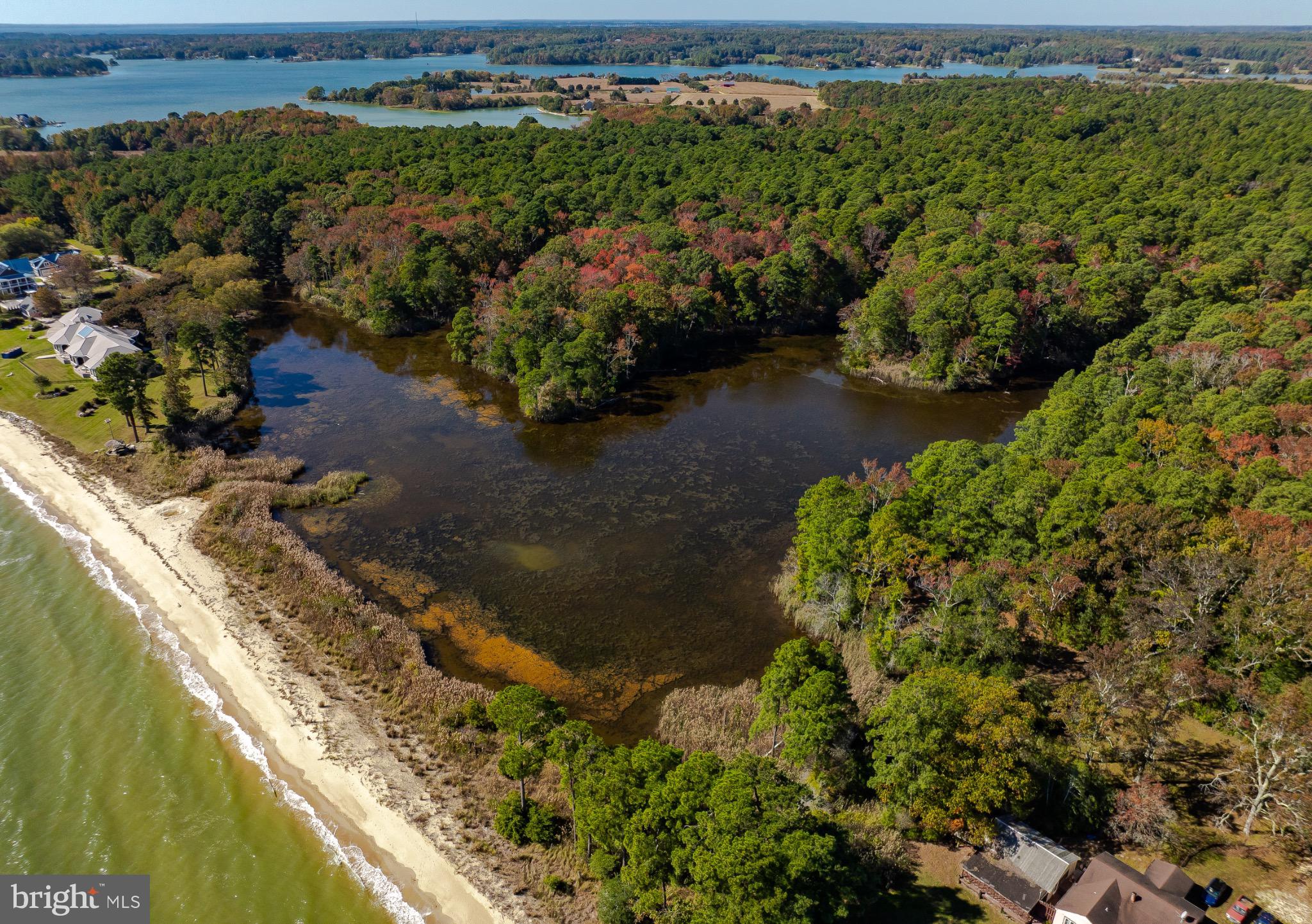 50645 Holly Point Road Dameron, MD 20628 - Photo 39 of 99
