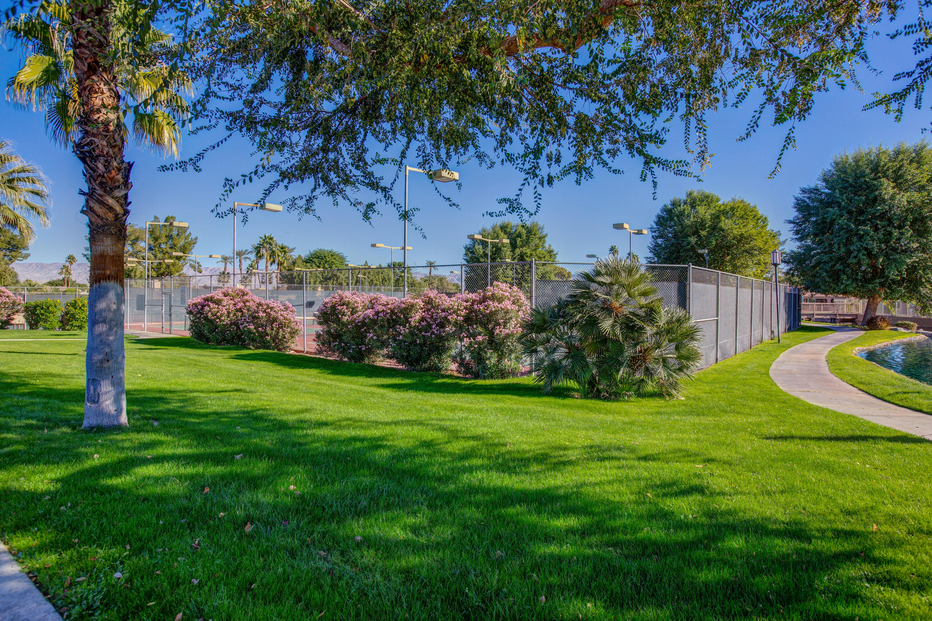 44695 Monaco Circle Palm Desert, CA 92260 - Photo 53 of 58 a view of a garden with plants and large trees