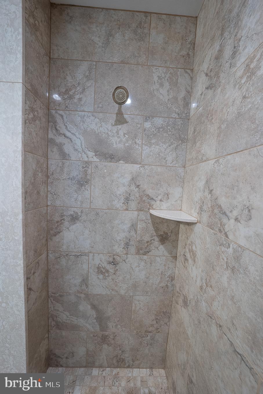 442 Norma Road Ambler, PA 19002 - Photo 34 of 51 Regular shower head