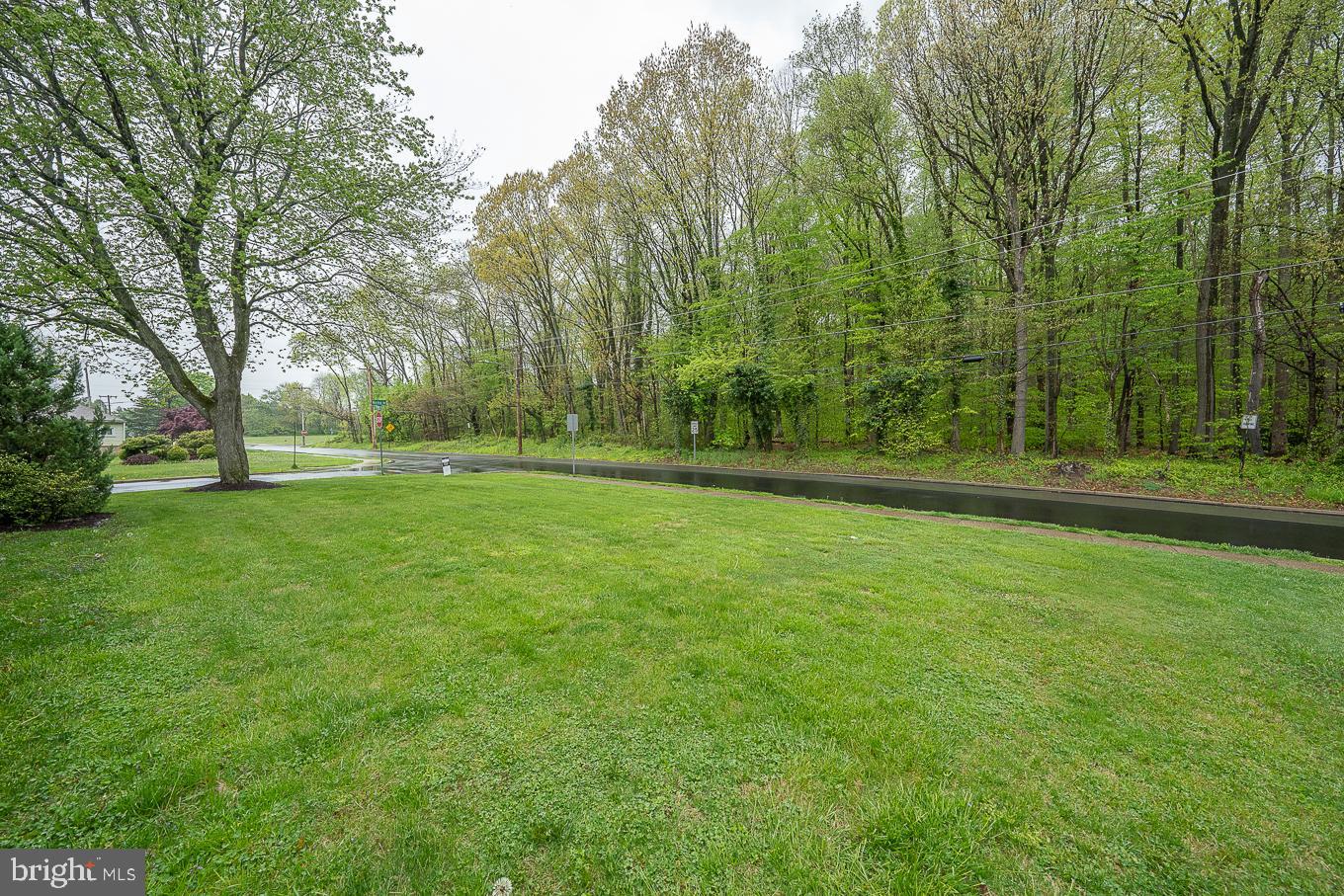 442 Norma Road Ambler, PA 19002 - Photo 46 of 51 Side yard