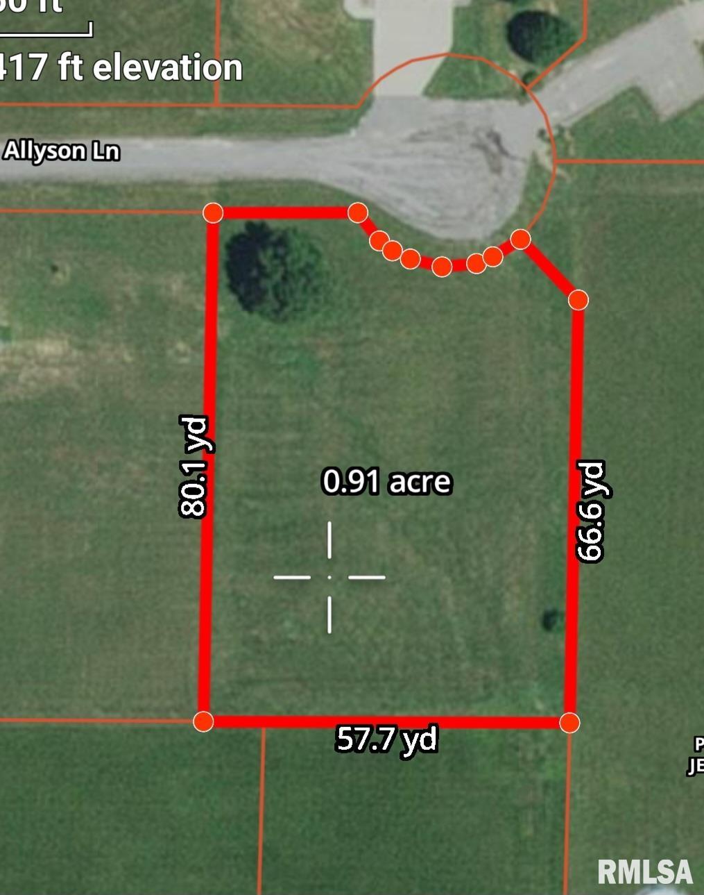 0 Allyson Lane Vienna, IL 62995 - Photo 2 of 2