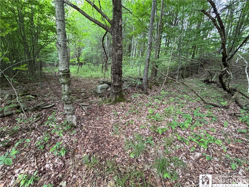 1471 Loomis Road Rexville, NY 14877 - Photo 26 of 50