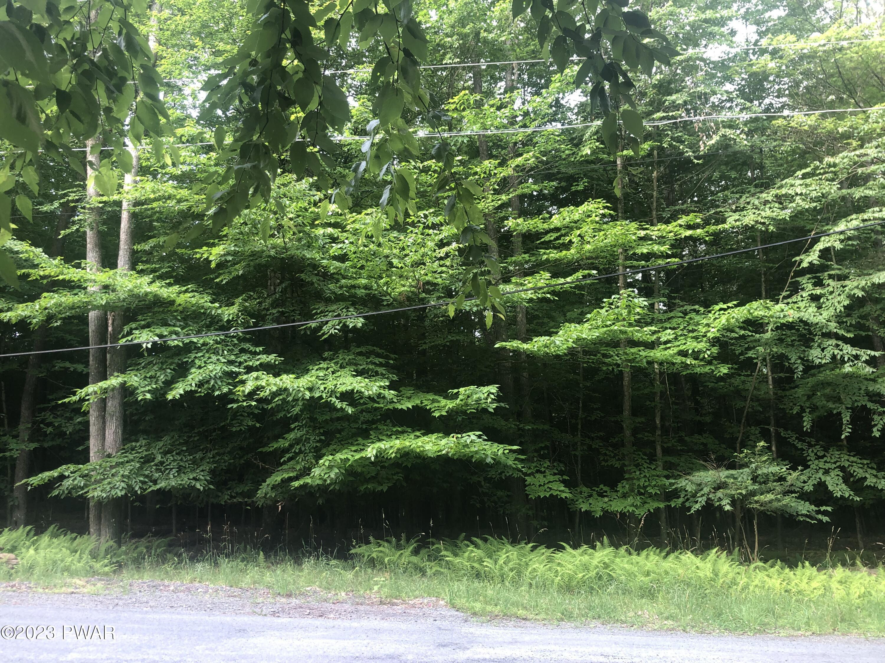 861 Fawn Road Hawley, PA 18428 - Photo 2 of 9