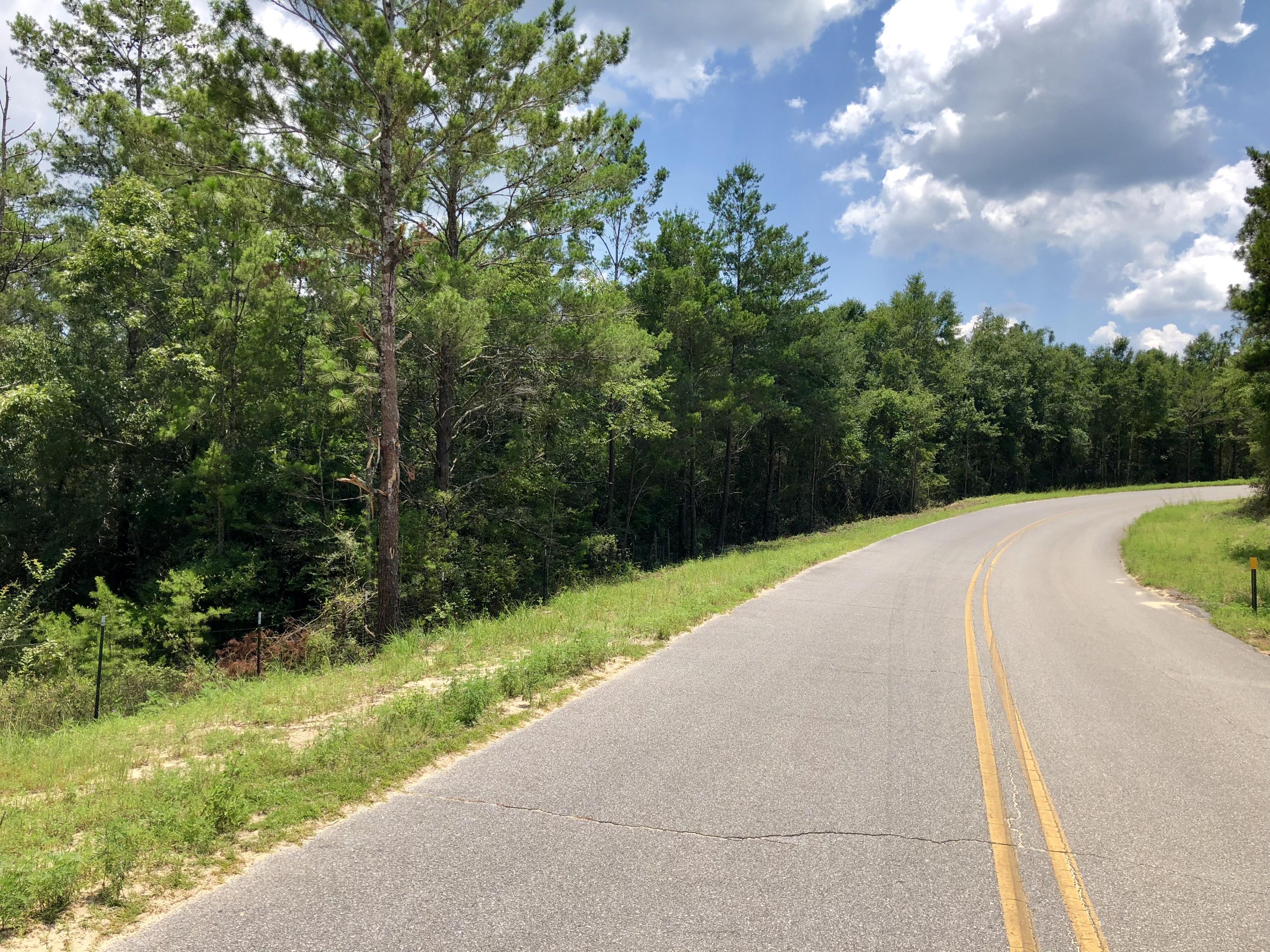 Lot 1 Oakridge Road DeFuniak Springs, FL 32433 - Photo 3 of 10 20180711_181229970_iOS