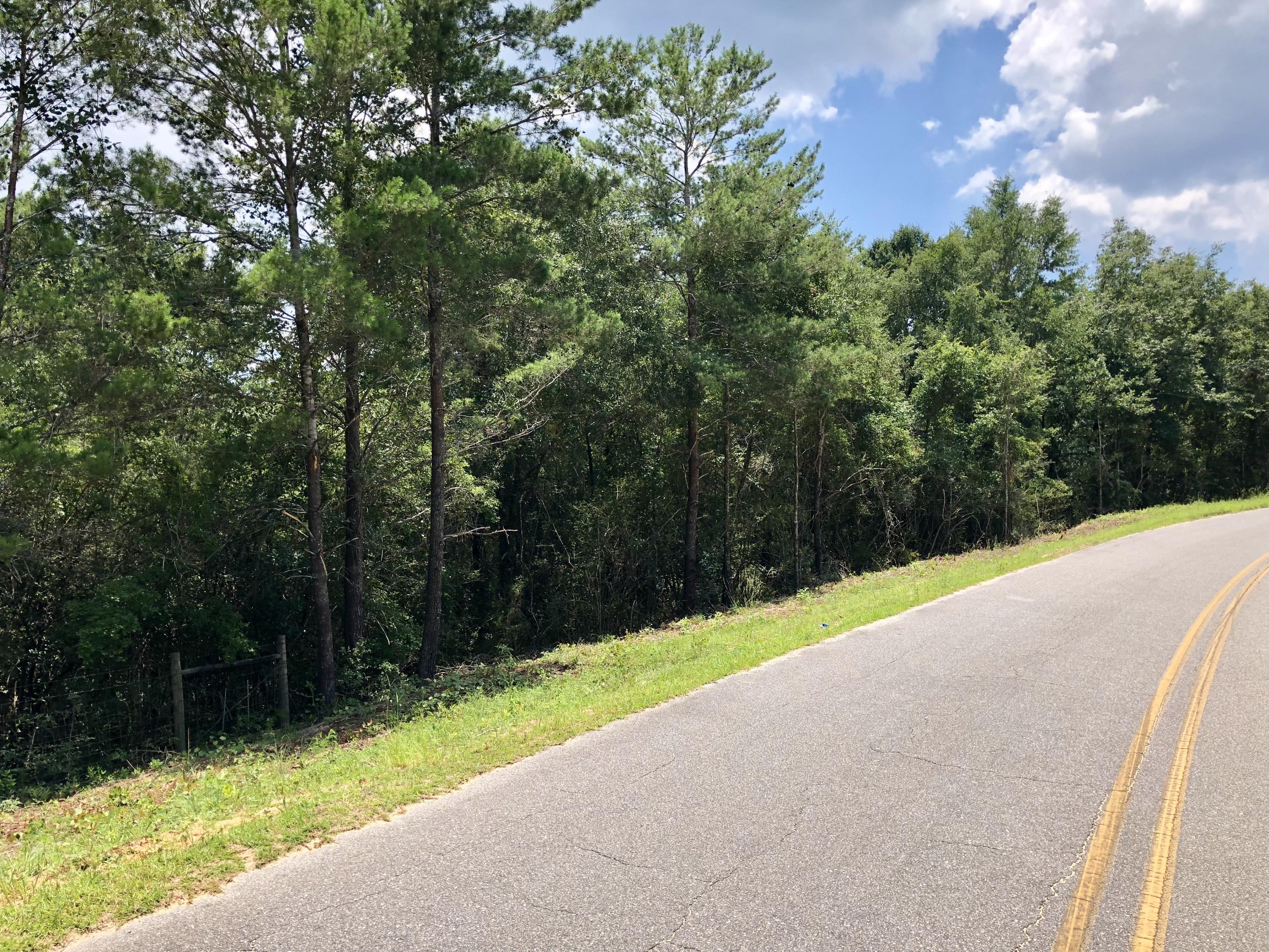 Lot 1 Oakridge Road DeFuniak Springs, FL 32433 - Photo 5 of 10 20180711_181300803_iOS