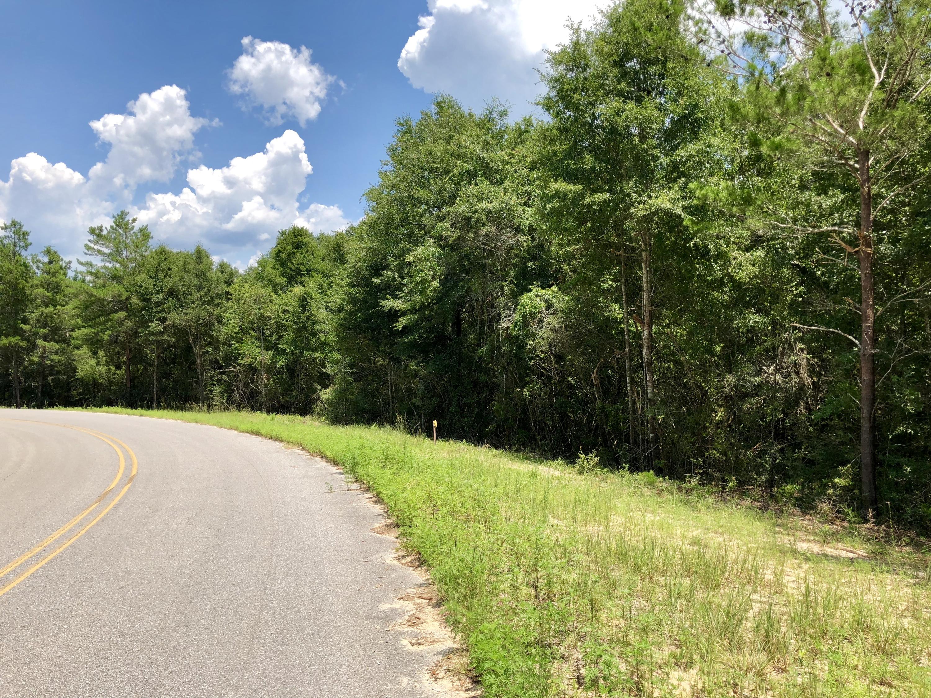 Lot 1 Oakridge Road DeFuniak Springs, FL 32433 - Photo 8 of 10 20180711_181548654_iOS