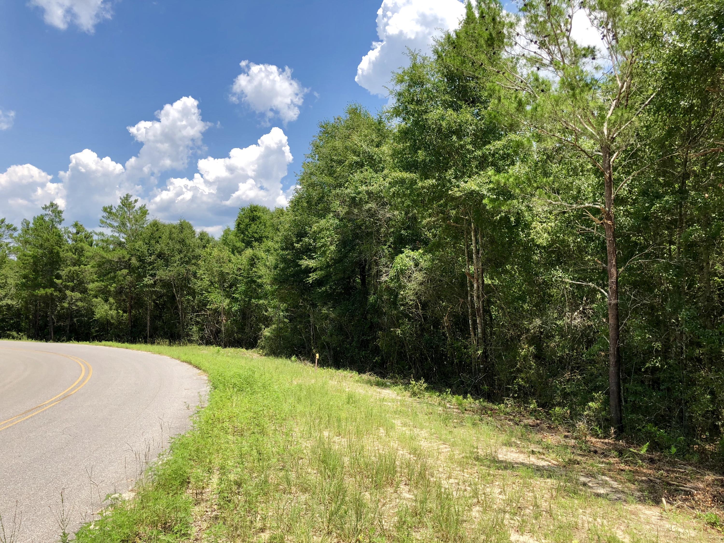 Lot 1 Oakridge Road DeFuniak Springs, FL 32433 - Photo 9 of 10 20180711_181559285_iOS