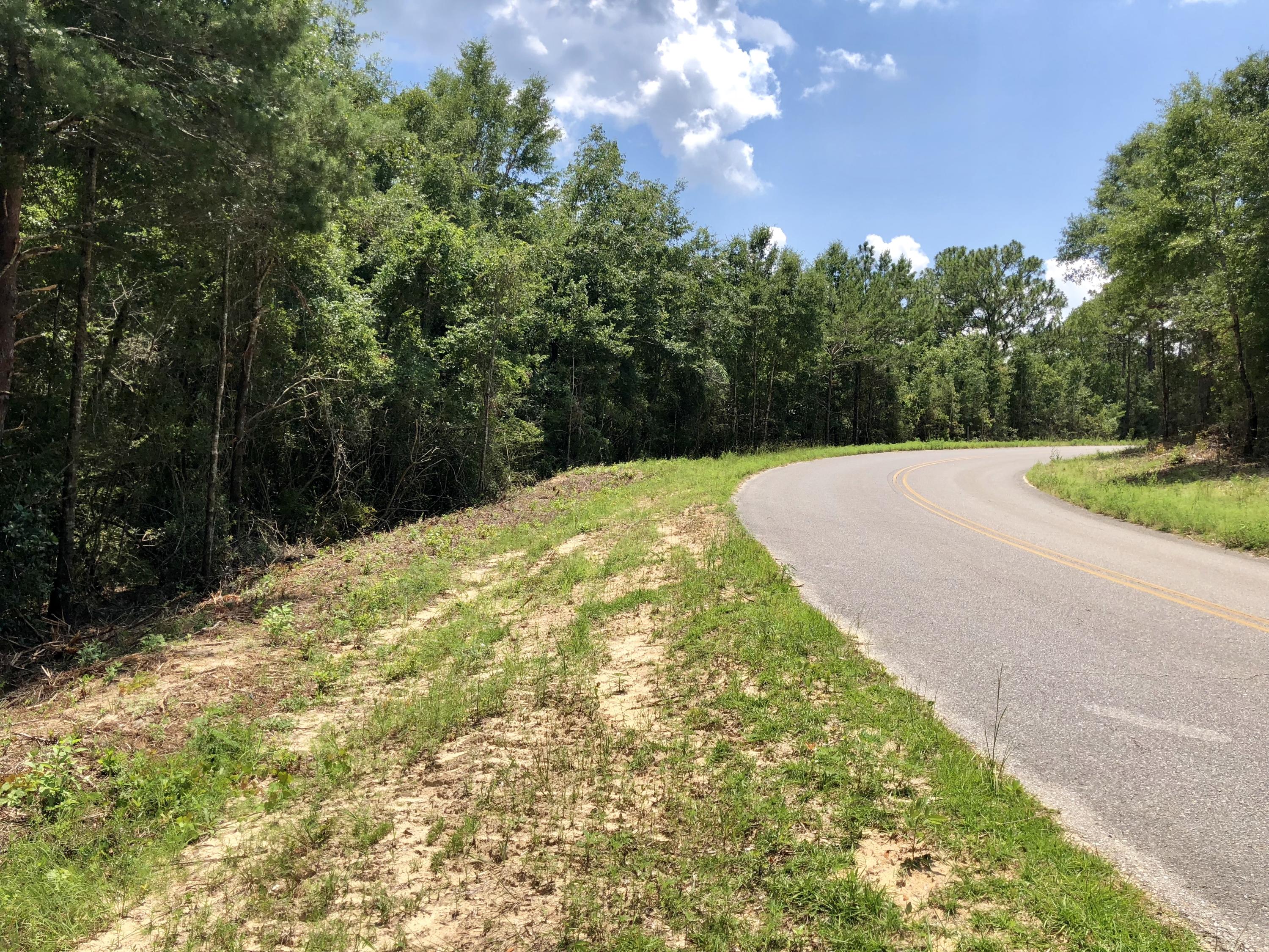 Lot 1 Oakridge Road DeFuniak Springs, FL 32433 - Photo 10 of 10 20180711_181728254_iOS