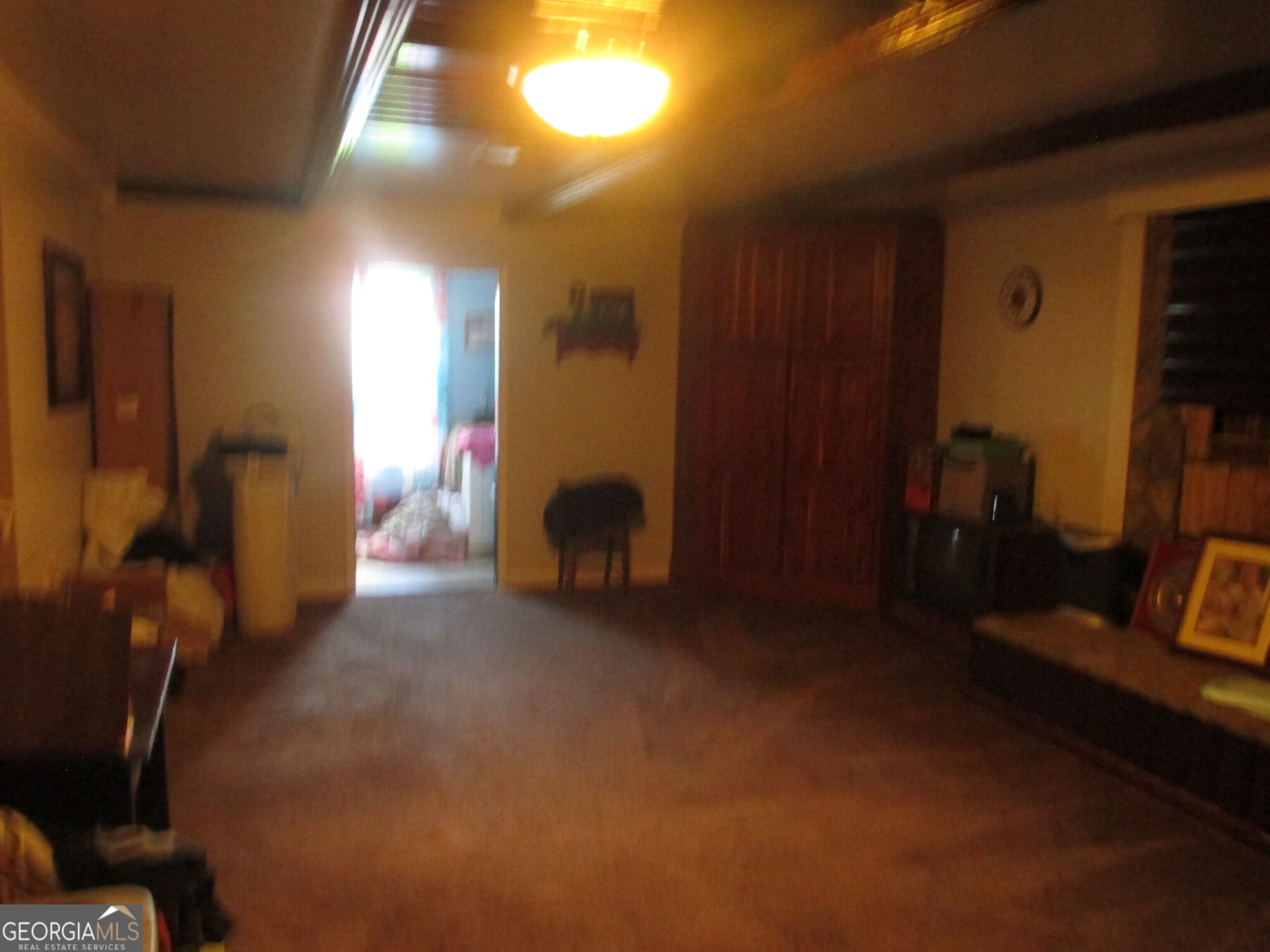 646 Foster Steadham Road Baxley, GA 31513 - Photo 18 of 48 Gallery Image 18