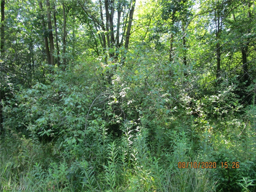 Countyline Road Geneva, OH 44041 - Photo 6 of 20