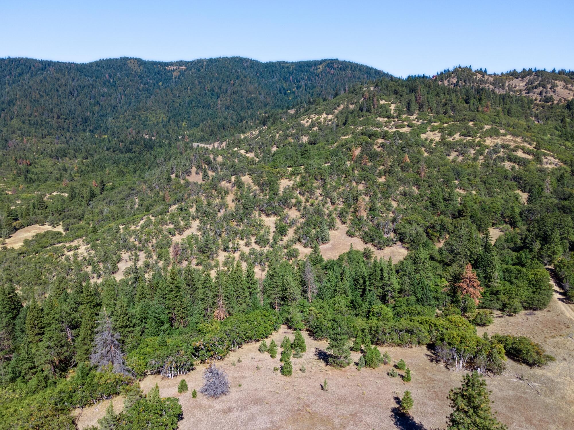 0 Colestin Road Ashland, OR 97520 - Photo 6 of 13 DJI_0902