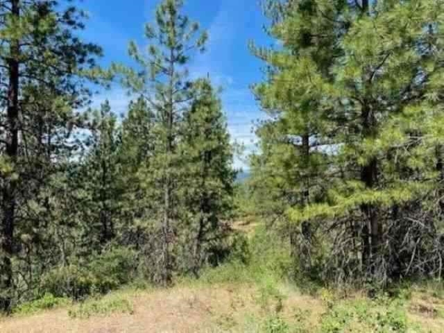 0 Scoop Mountain Road Springdale, WA 99173 - Photo 1 of 19