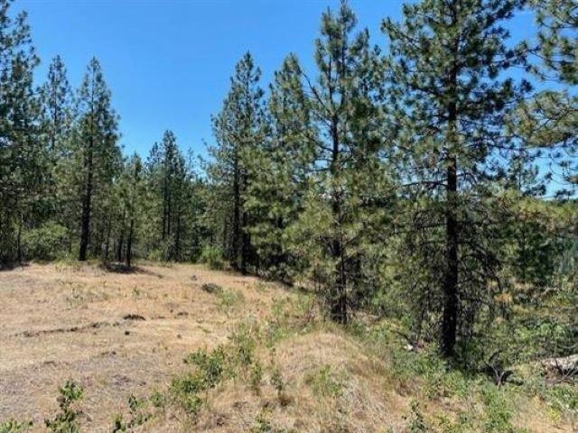 0 Scoop Mountain Road Springdale, WA 99173 - Photo 3 of 19