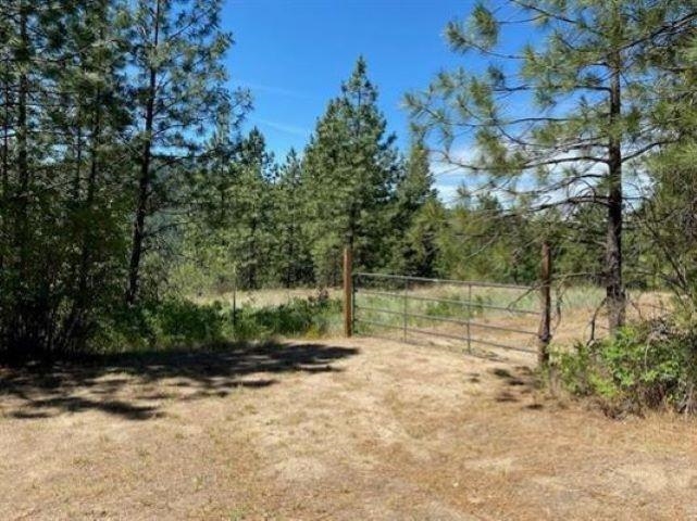 0 Scoop Mountain Road Springdale, WA 99173 - Photo 4 of 19